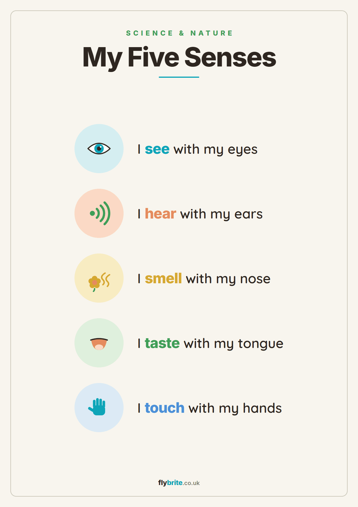 My Five Senses printable preview