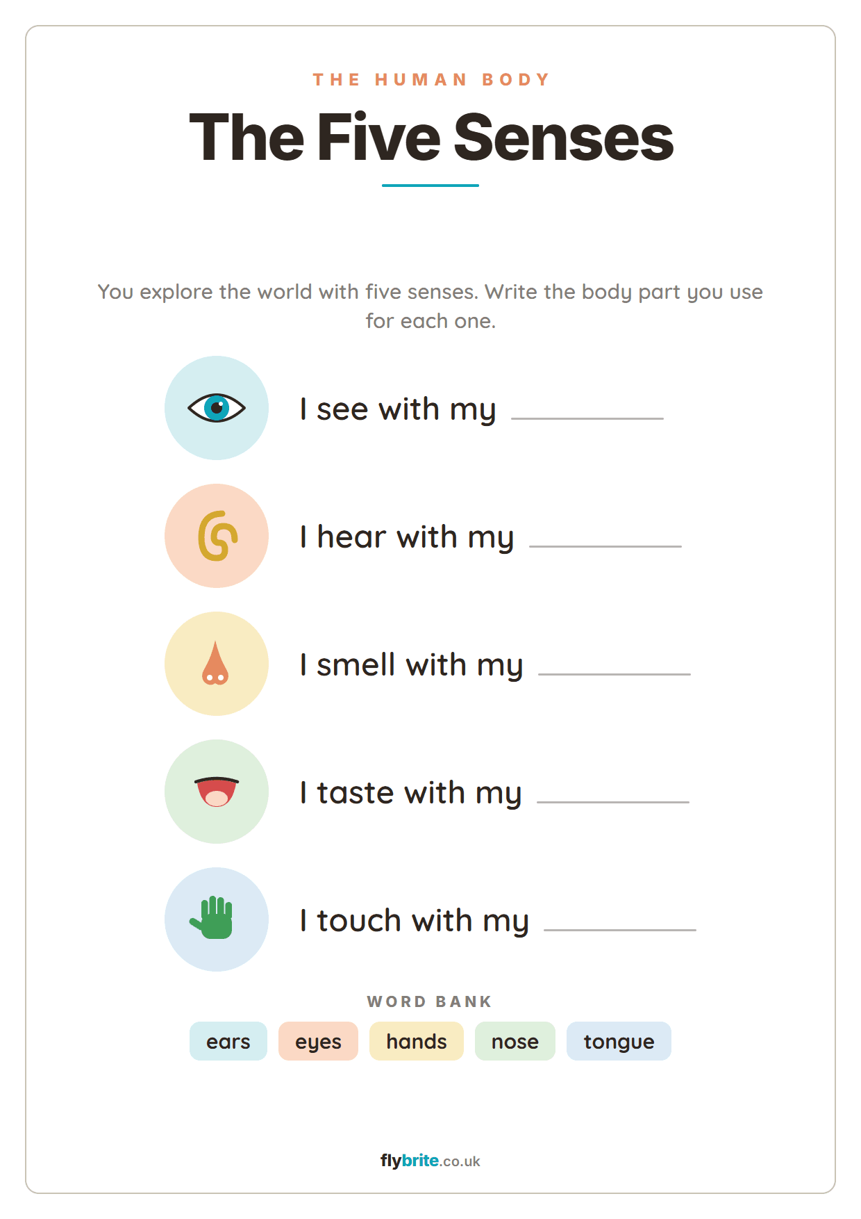 The Five Senses printable preview
