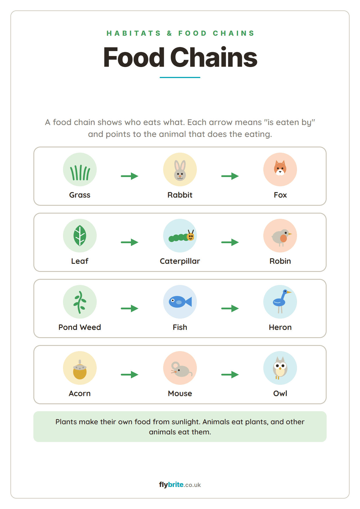 Food Chains printable preview
