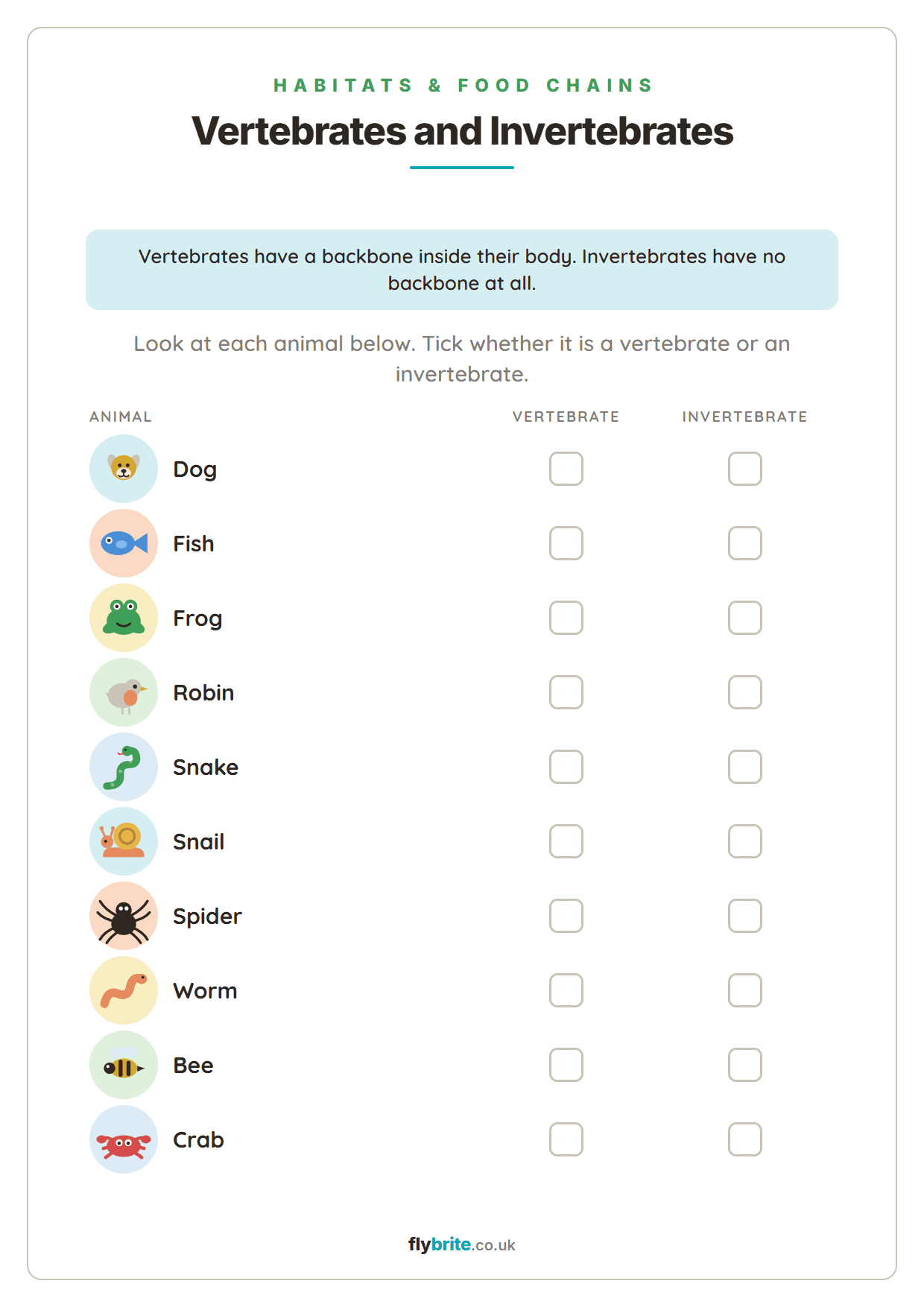 Vertebrates and Invertebrates printable preview