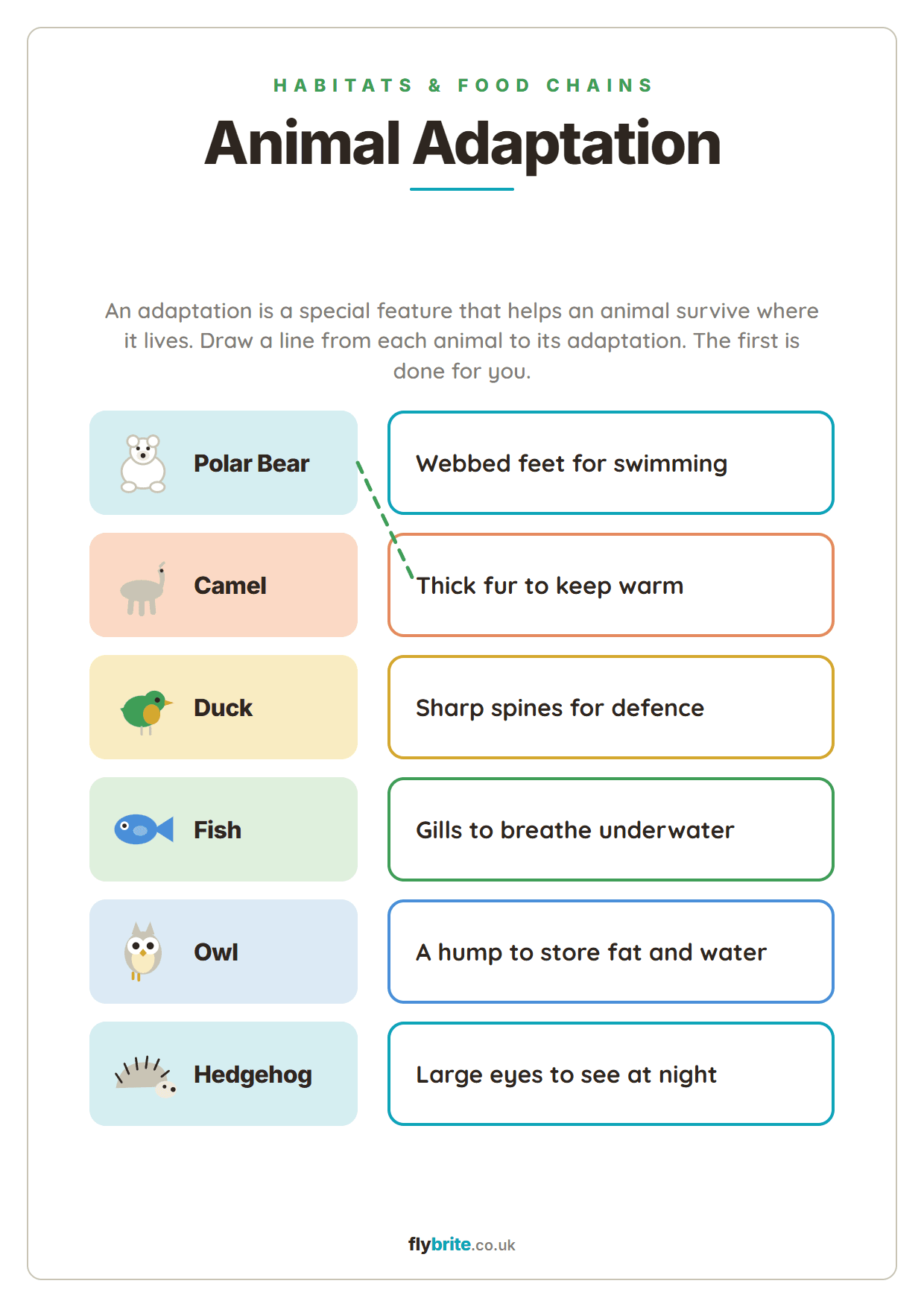 Animal Adaptation printable preview