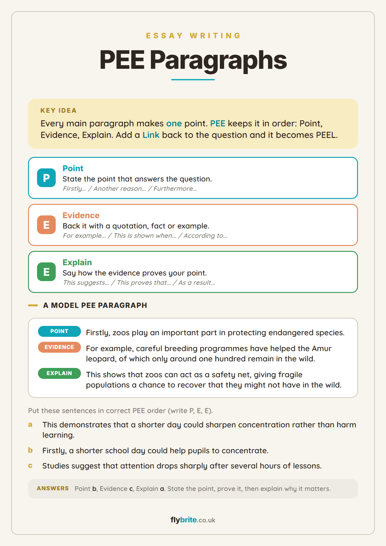 PEE Paragraphs printable preview