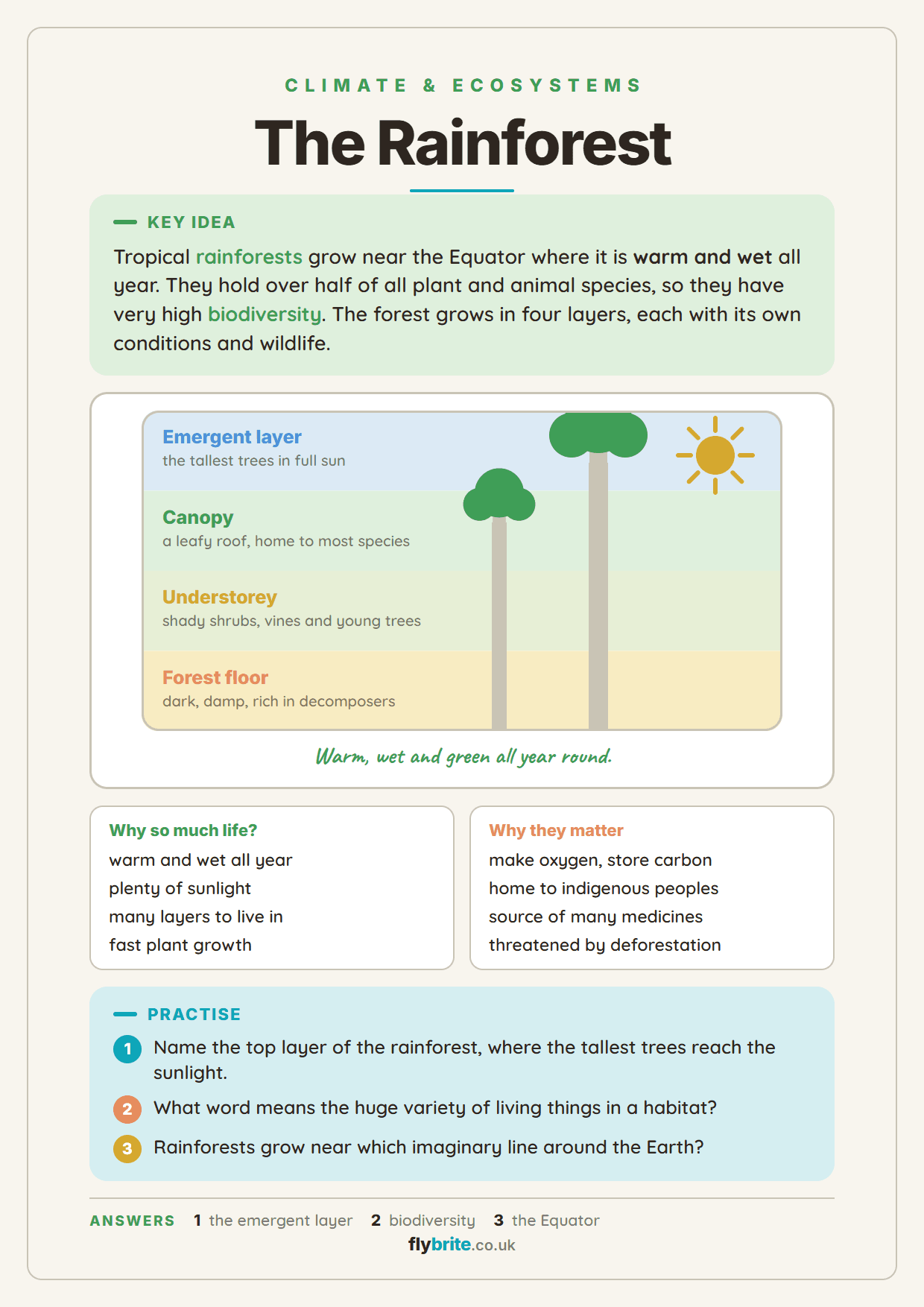 The Rainforest printable preview