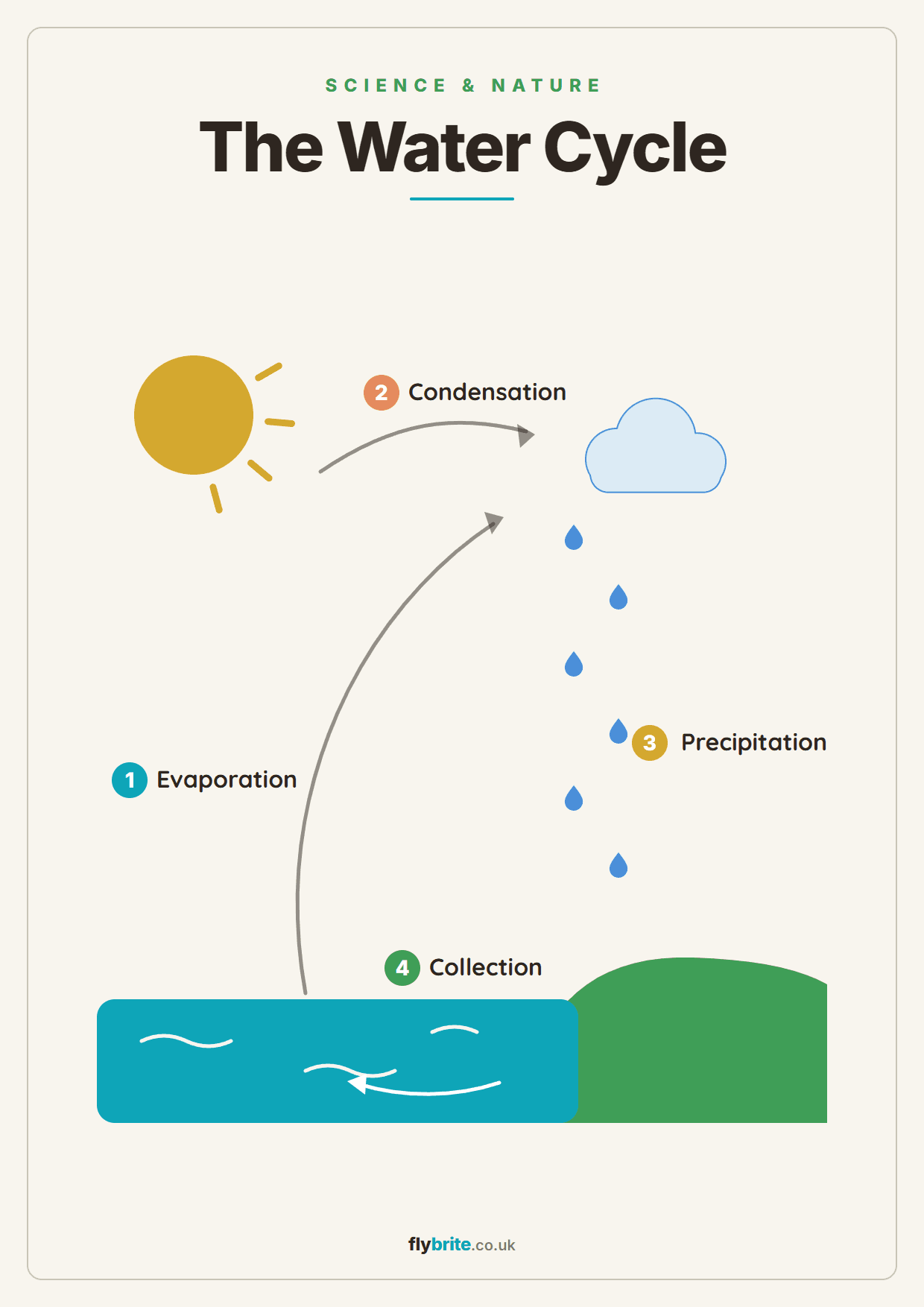 The Water Cycle printable preview