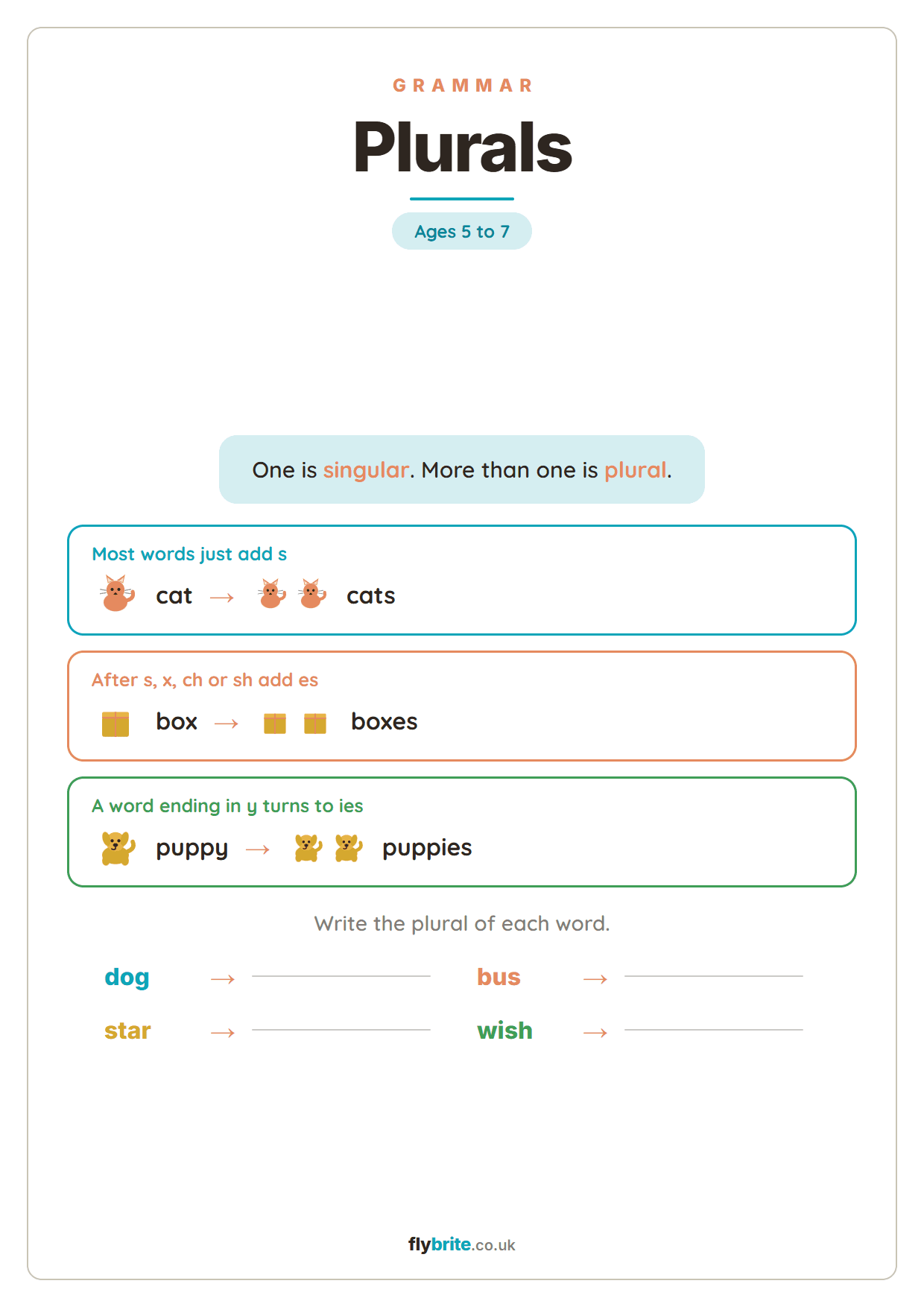 Plurals printable preview
