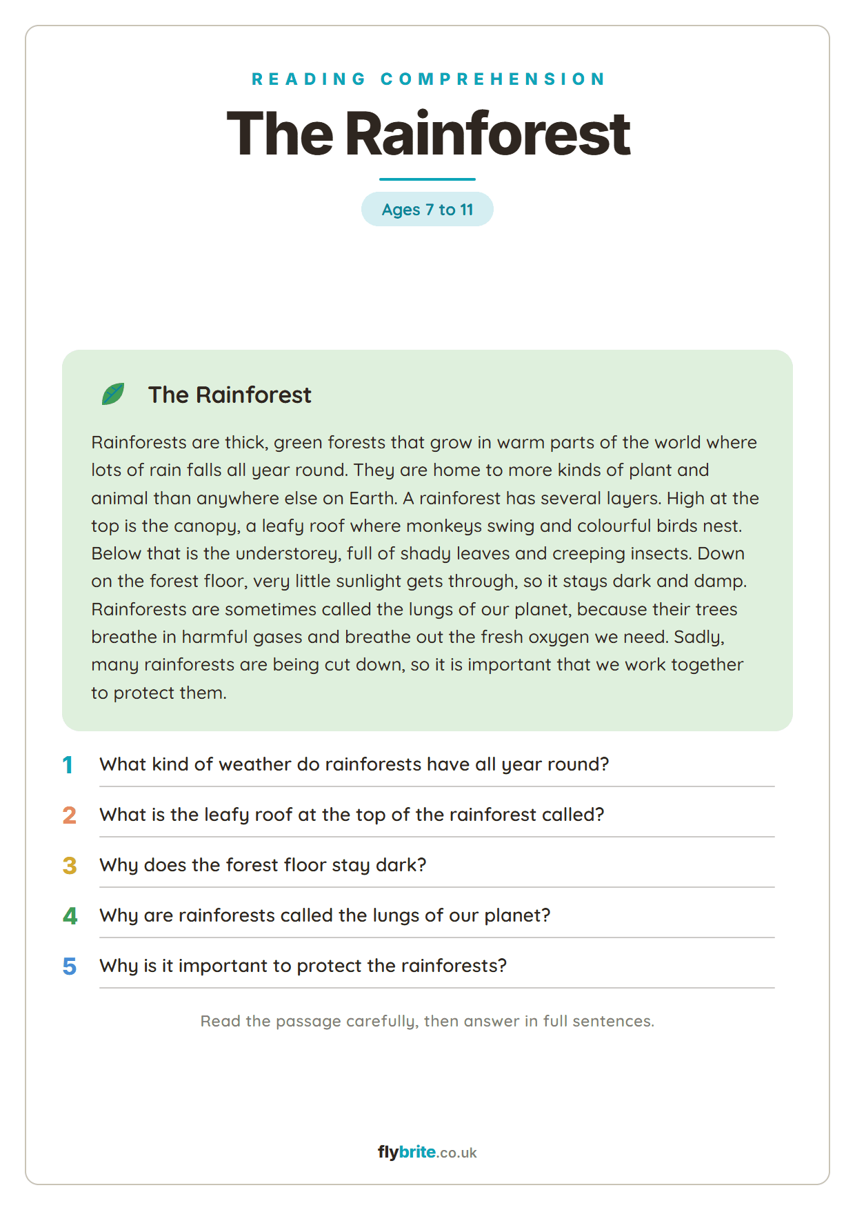 The Rainforest printable preview