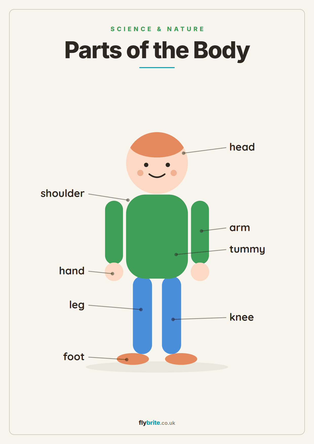 Parts of the Body printable preview