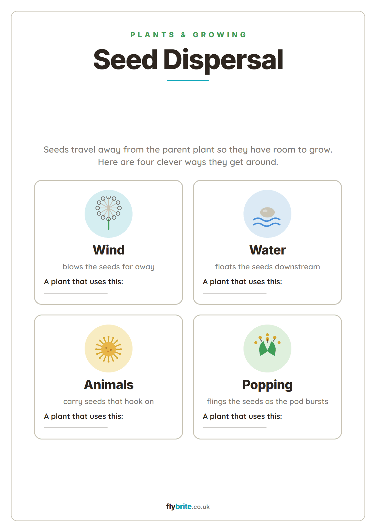 Seed Dispersal printable preview