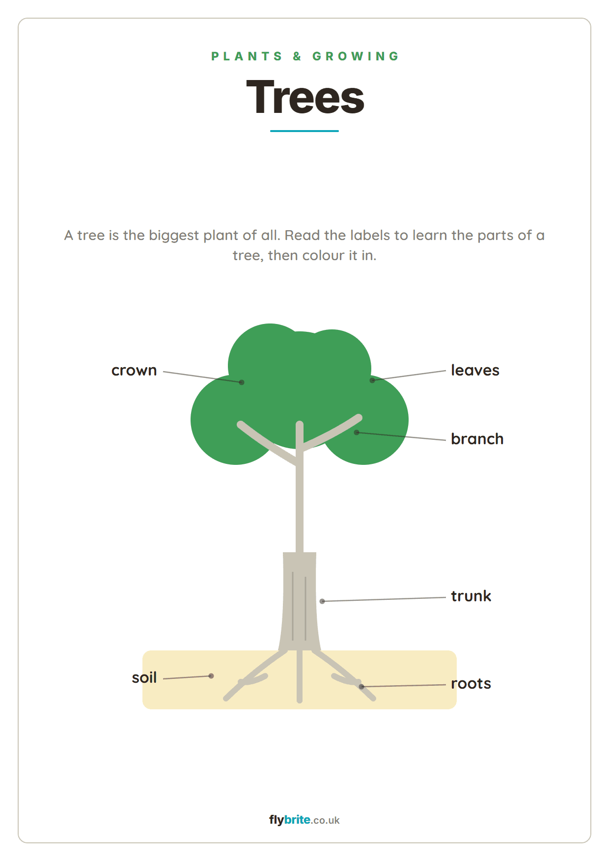 Trees printable preview