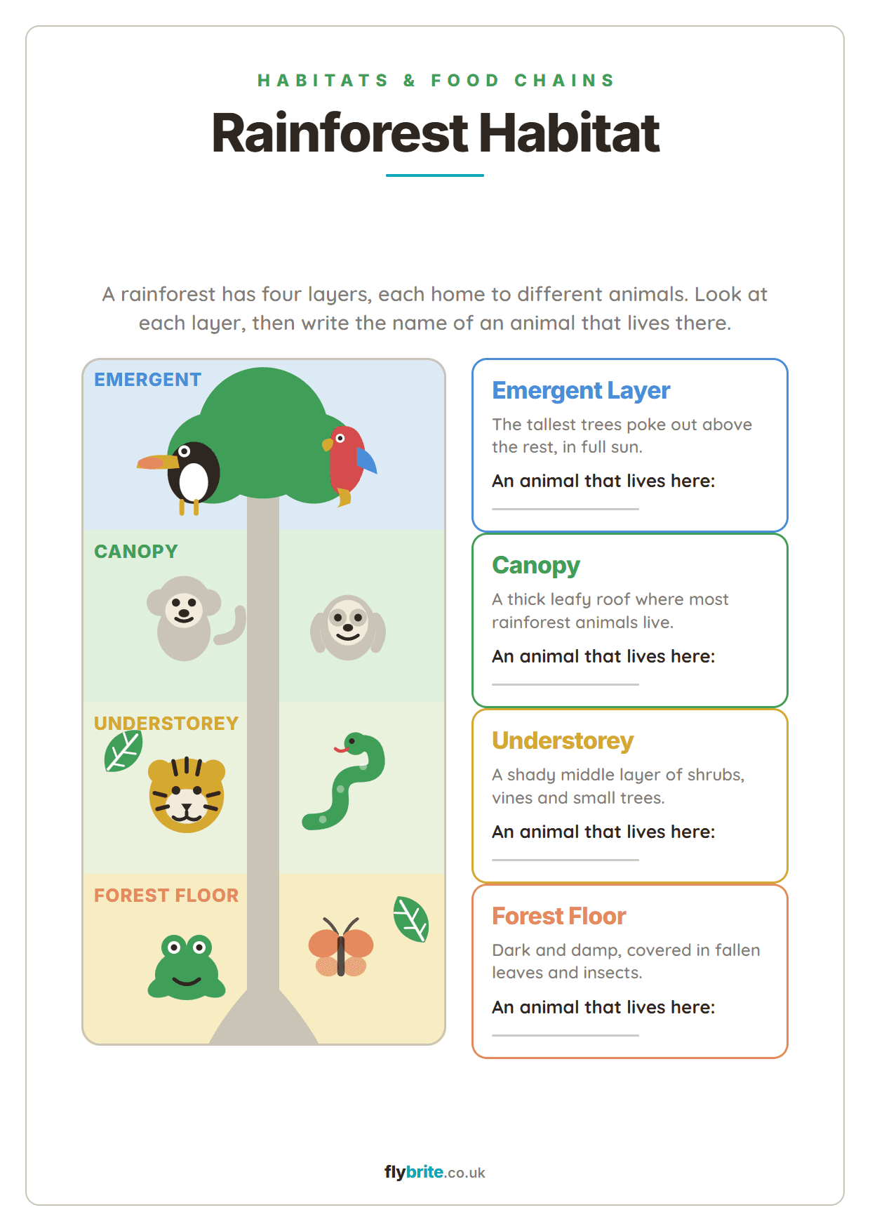 Rainforest Habitat printable preview
