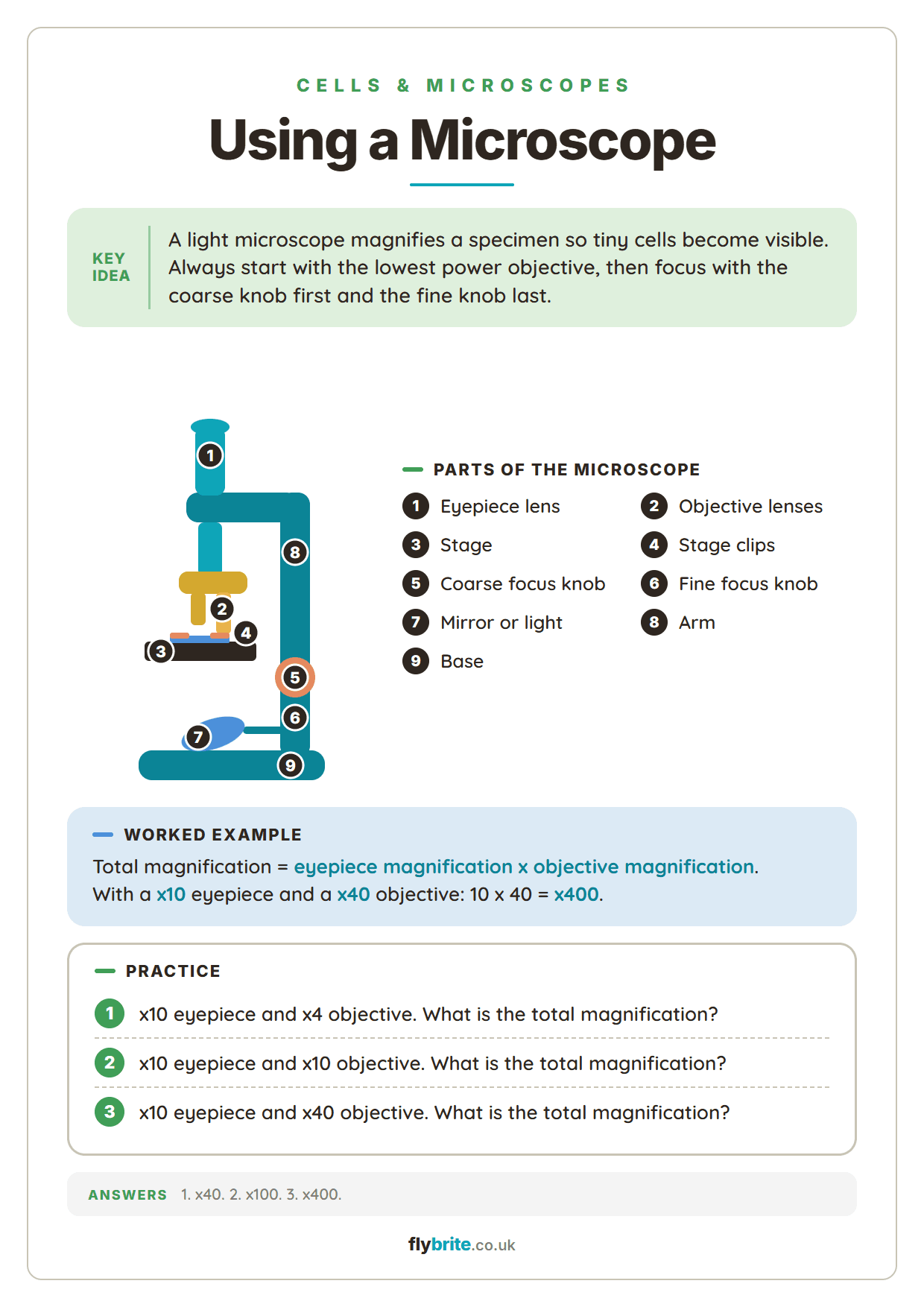 Using a Microscope printable preview