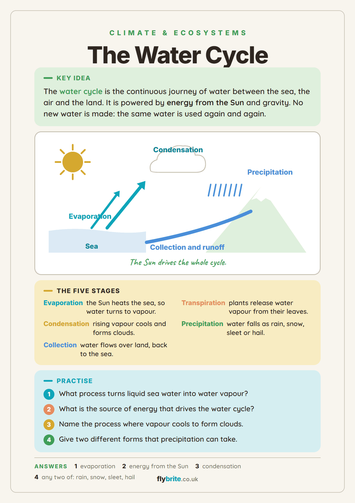 The Water Cycle printable preview
