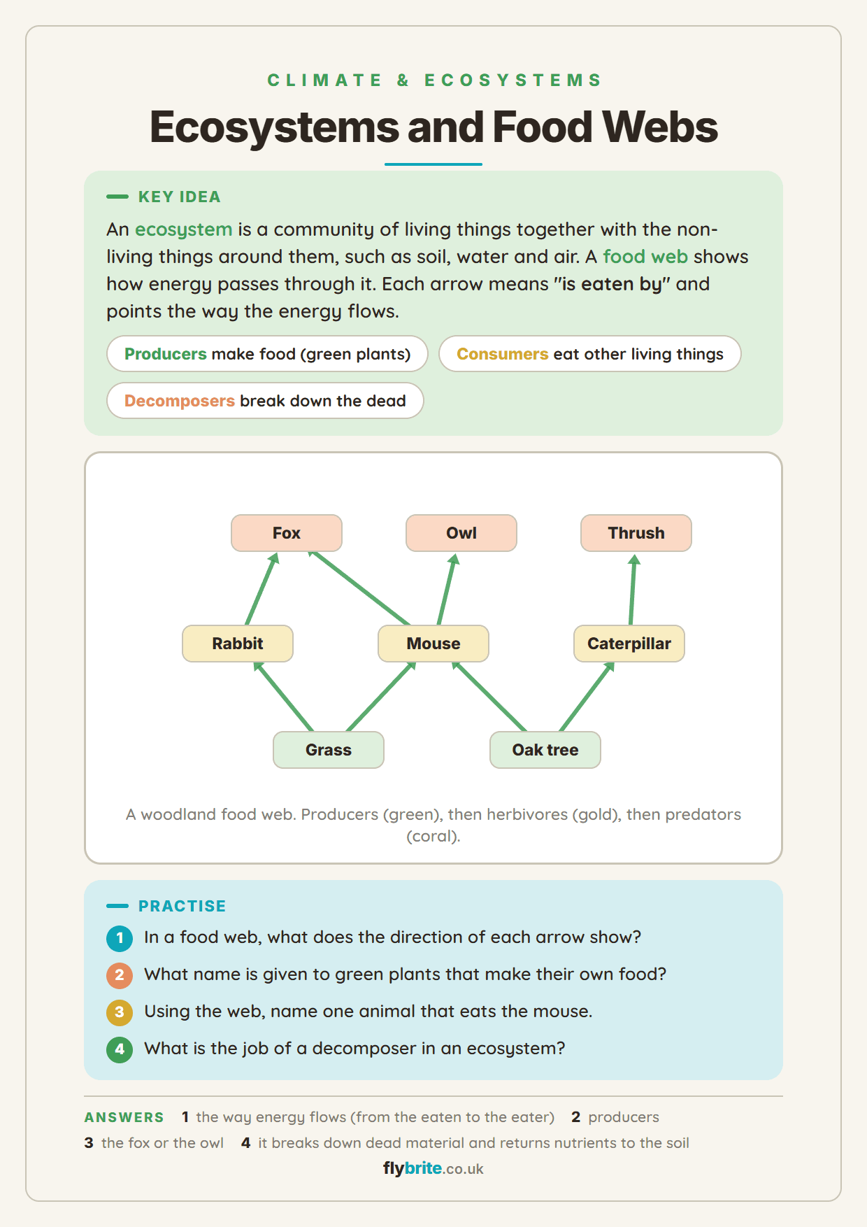 Ecosystems and Food Webs printable preview